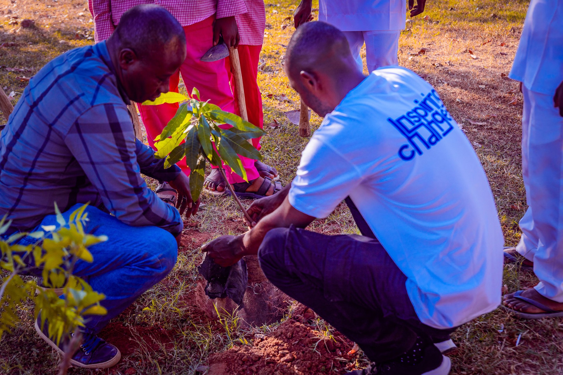 Facilitators and participants planting a tree at a CCAIE activity